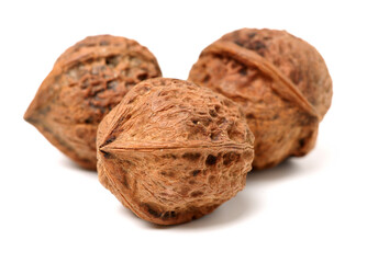 walnuts on a white background