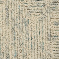 Modern tufted loop wool area rug texture