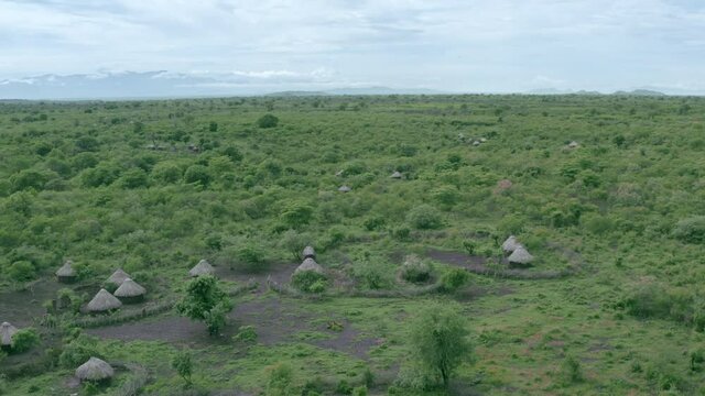 Aerial view of a village in the Omo Valley. Savannah in which huts are built in which African tribes live. Landscape with tree bushes. Drone video of the Omo Valley in Ethiopia.