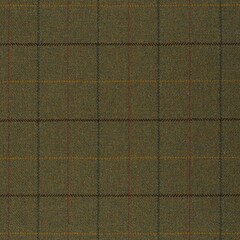 Plaid tweed fabric texture in green