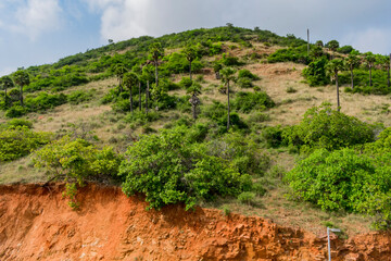 small mountain a lot of palm and cashew trees looking greenery with blue sky background. - 435058829