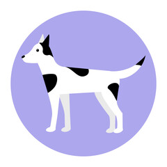 Cute white and black dog vector flat illustration on purple background.