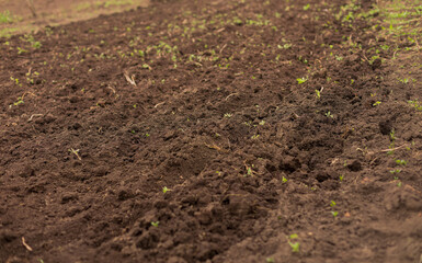 Arable land. Plowed land ready for planting agricultural plants. Spring sowing work. Structure.