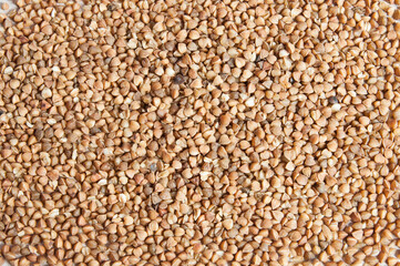 background, lots of buckwheat close-up