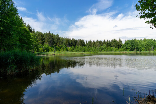 Fishing and recreation at the shores of Lake Svyatoe, Chashniki