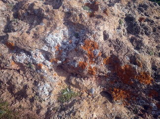 Close view of a big rock
