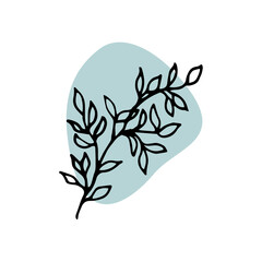 Icons. Branch with leaves. Clipart. Linear illustration artistic lines and strokes. Doodle and cartoon style. Home design. Vector hand drawing. Deciduous branch