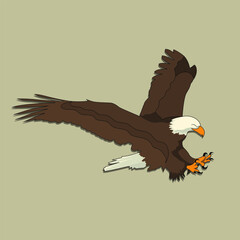 eagle vector draw logo type