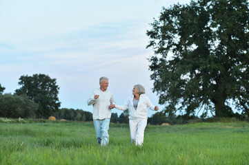 Happy beautiful senior couple running in summer field
