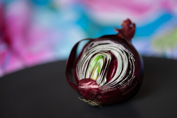 Cut the red sprouted and puff onions in half on a black plate. Side view. Place for your text. Conceptual photography with deep colors background