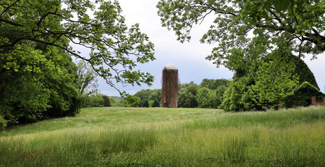 Fototapeta na wymiar A vine covered old silo in North Carolina.