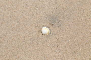 Beach. Blue sea and white sand. Summer time. Seacost