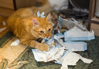 The cat plays with the torn sheets of the book.