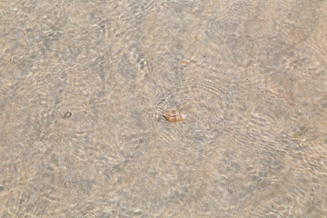 Beach. Blue sea and white sand. Summer time. Seacost