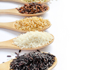Dry organic white rice seeds in light brown wooden spoon with blur red, brown, and riceberry seeds on white background with copy space