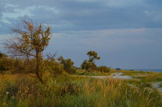 Landscape of Kinburn Foreland in Ochakiv Raion (district) of Mykolaiv Oblast. Wild nature at the Black Sea.