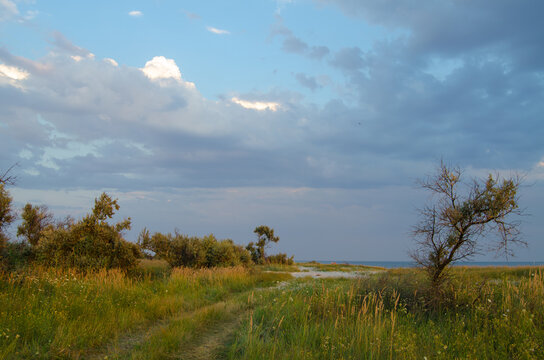 Landscape of sea coast beach on the Kinburn Spit, Ukraine. Wild nature of Kinburn Foreland