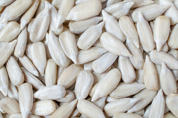 Closed up dry organic sunflower seeds, for clean food ingredient or agricultural product concept