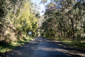 road in the forest