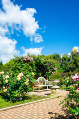 神奈川県平塚市の花菜ガーデン　薔薇庭園
