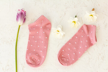 Pair of women socks on white background.