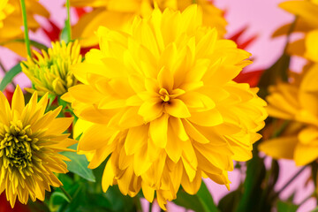 Summer bouquet yellow and red flowers on bright background. Chrysanthemums and dahlias close up.