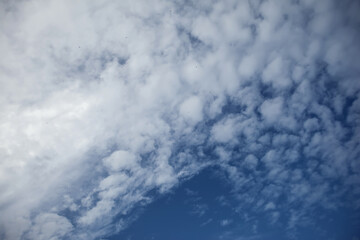 Blue sky with white clouds. Weather forecast concept