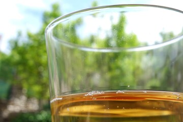 An aperitif in the garden