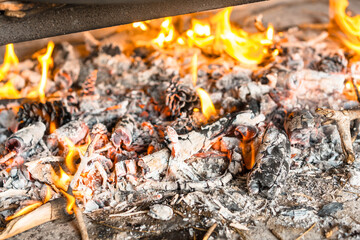 Firewood embers of the Valencian paella with embers and vegetables. Traditional Spanish food, fish and seafood paella