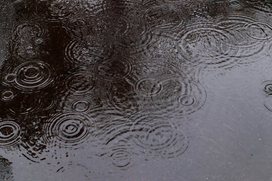 Raindrops falling into a dark water surface, creating overlapping ripple circles. A moody and calming scene perfect for weather, nature, melancholy, or abstract background themes