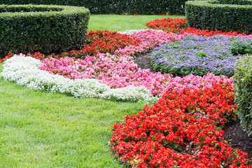 View of flower beds with colorful multi-colored flowers and trimmed bushes of various shapes.