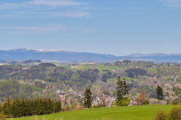 Landscape. Spring. Flowering trees. Green, juicy grass. Hills. Forest. Mountains. Snowy peaks. Village. Blue sky with clouds.