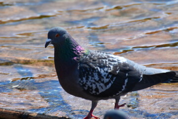 Landschaft und Natur im Erzgebirge