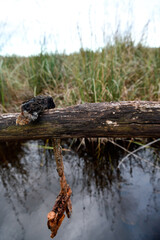 Magical places and hills of Tuscany  