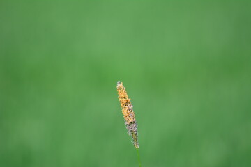 Landschaft und Natur im Erzgebirge