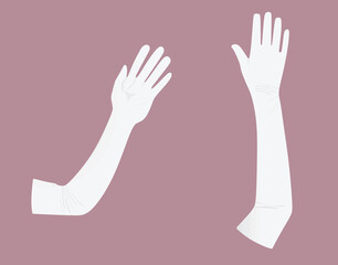 Woman white elegant gloves. vector