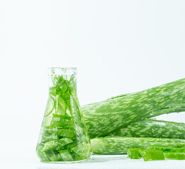 Aloe vera essential oil on tropical leaves background,Fresh Aloe vera sliced with plant and water droplets isolated on white background.