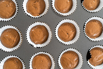 Chocolate raspberry cupcakes