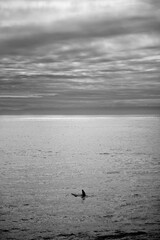 Sea horizon in black and white