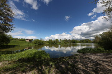 Reflection in the lake on a clear sunny day