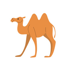 Cartoon camel - cute character for children. Vector illustration in cartoon style.