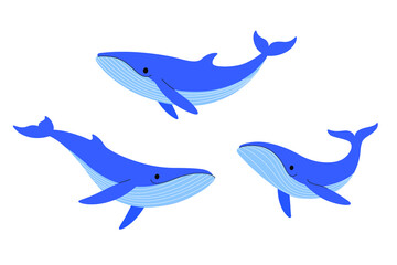 Cartoon whale sketch line icon. Kawaii animals icons set. Childish print for nursery, kids apparel, poster, postcard, pattern.