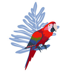 Tropical hand drawn colorful ara parrott with leaf background. Macaw parrot isolated on white background. © Lopolitt