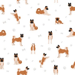 American akita all colours seamless pattern. Different coat colors set.