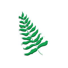 Green leaf of a tropical plant isolated on white. Vector illustration of a green plant.