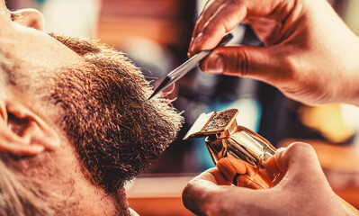 Bearded man in barbershop. Man visiting hairstylist in barbershop. Barber works with a beard...