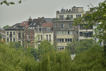 Maisons de maître 1900 et immeubles résidentiels émergeant des arbres entourant les étangs d'Ixelles à Bruxelles 