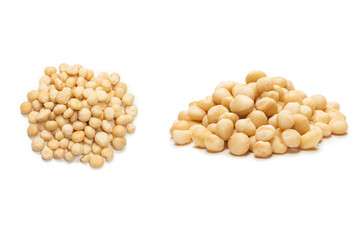 Macadamia nuts isolated on white background.