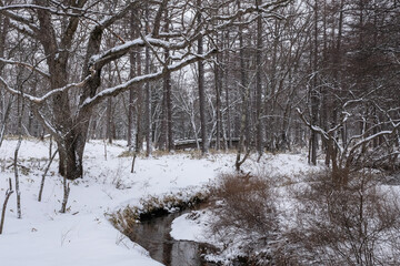 栃木県日光市 雪の戦場ヶ原 湯川