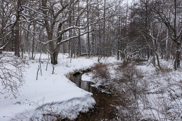 栃木県日光市 雪の戦場ヶ原 湯川